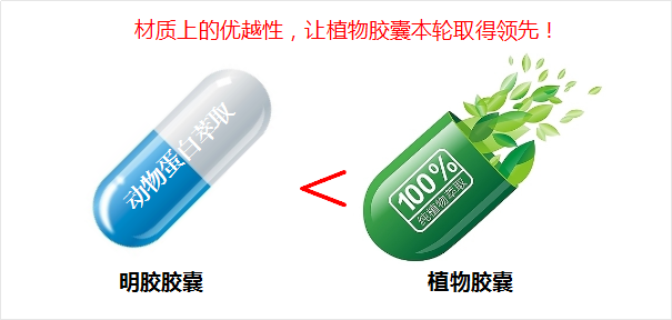 破壁灵芝孢子粉怎么吃 ?什么牌子的灵芝孢子粉-第3张图片-灵芝大师 破壁灵芝孢子粉怎么吃 ?什么牌子的灵芝孢子粉-第3张图片-灵芝大师