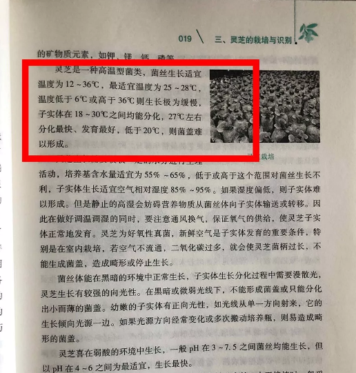 长白山灵芝生长周期有多长？-第1张图片-灵芝大师