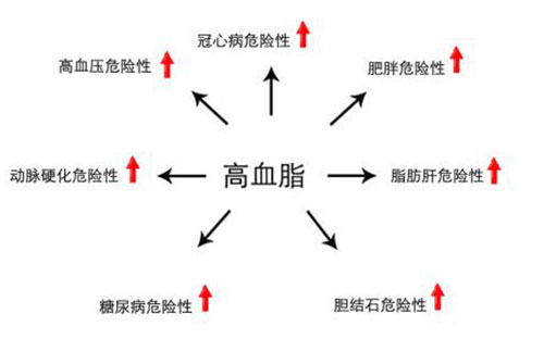糖尿病吃灵芝孢子粉管用吗？灵芝孢子粉有什么-第1张图片-灵芝大师