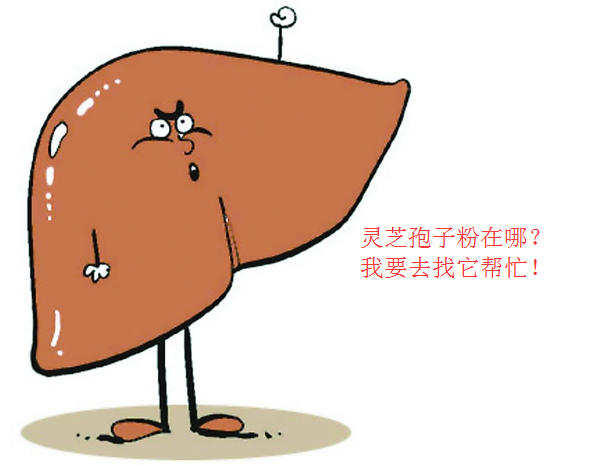 医院专家告诉你  灵芝孢子粉的功效与作用-第3张图片-灵芝大师