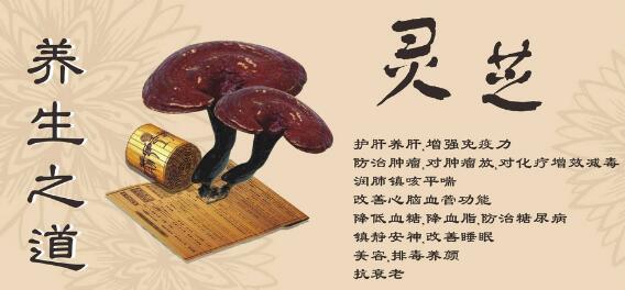 看望癌症病人买什么好,看望癌症病人送礼禁忌-第2张图片-灵芝大师 看望癌症病人买什么好,看望癌症病人送礼禁忌-第2张图片-灵芝大师