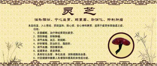 芝素堂破壁灵芝孢子粉胶囊怎么样 家庭必备的神-第4张图片-灵芝大师