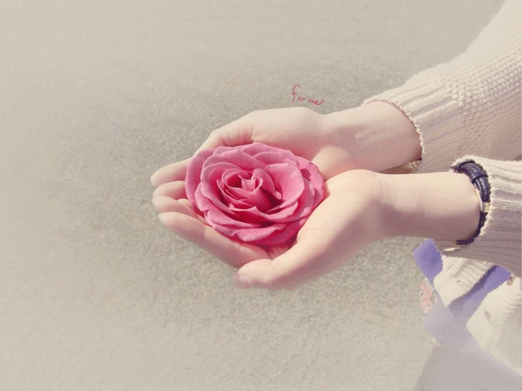 女人长期吃灵芝孢子粉有什么好处-第2张图片-灵芝大师