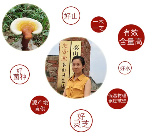 灵芝孢子粉中最有价值的的营养成分灵芝三萜-第2张图片-灵芝大师 灵芝孢子粉中最有价值的的营养成分灵芝三萜-第2张图片-灵芝大师