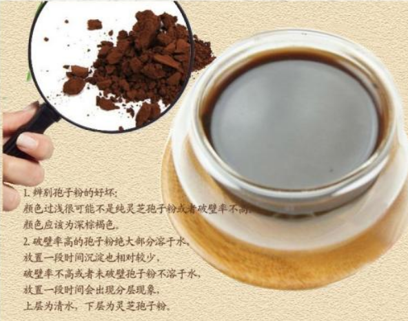 为什么灵芝孢子粉要破壁呢?为什么要吃灵芝-第2张图片-灵芝大师 为什么灵芝孢子粉要破壁呢?为什么要吃灵芝-第2张图片-灵芝大师