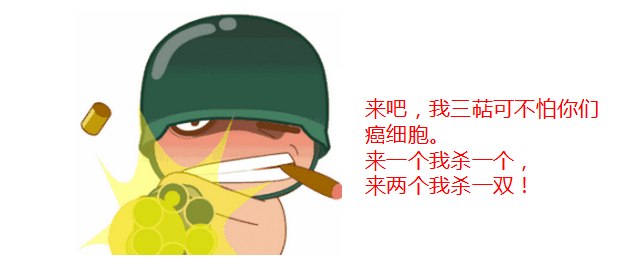 冬季最好的补品就选破壁灵芝孢子粉！-第3张图片-灵芝大师