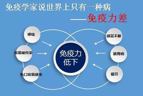 体虚乏力亚健康？灵芝孢子粉来帮忙提升免疫力-第1张图片-灵芝大师