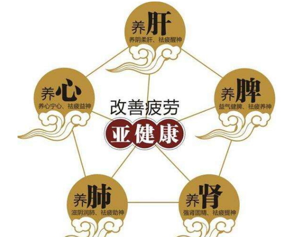 体虚乏力亚健康？灵芝孢子粉来帮忙提升免疫力-第2张图片-灵芝大师
