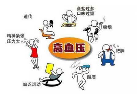 灵芝孢子粉血压高能吃吗？.-第2张图片-灵芝大师