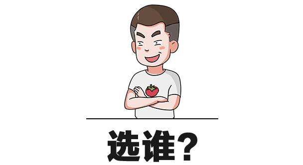 国内灵芝孢子粉品牌 从哪些方面选好?-第1张图片-灵芝大师 国内灵芝孢子粉品牌 从哪些方面选好?-第1张图片-灵芝大师