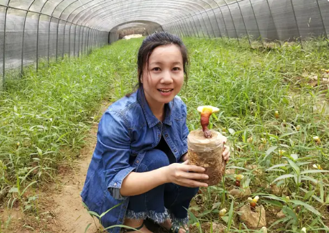 灵芝孢子粉感冒发热能吃吗？预防感冒多吃灵芝-第3张图片-灵芝大师