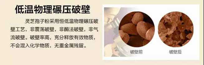 怎么区分灵芝孢子粉好坏？灵芝孢子粉好坏以什么成分决定？-第2张图片-灵芝大师