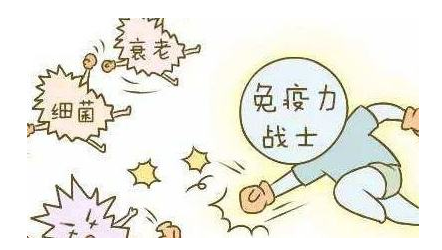 灵芝孢子粉免疫力差可以吃吗?-第2张图片-灵芝大师 灵芝孢子粉免疫力差可以吃吗?-第2张图片-灵芝大师