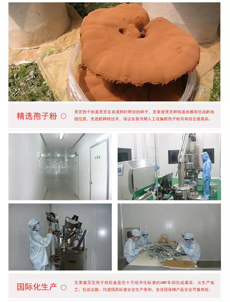 正宗灵芝孢子粉价格 是由哪些因素决定的?-第3张图片-灵芝大师 正宗灵芝孢子粉价格 是由哪些因素决定的?-第3张图片-灵芝大师