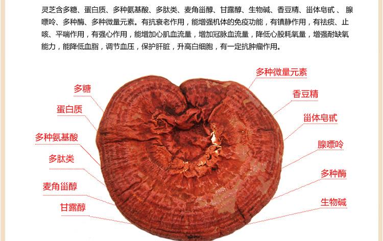 灵芝三萜的功效与作用 都有哪些?-第1张图片-灵芝大师 灵芝三萜的功效与作用 都有哪些?-第1张图片-灵芝大师