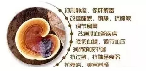 孢子粉的禁忌 人群有哪些你了解吗？-第2张图片-灵芝大师