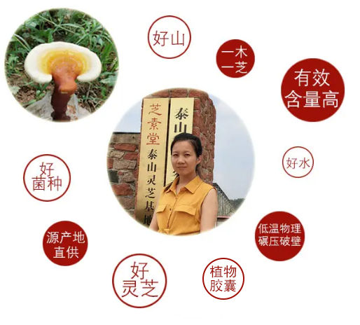 孢子粉的禁忌 人群有哪些你了解吗？-第3张图片-灵芝大师