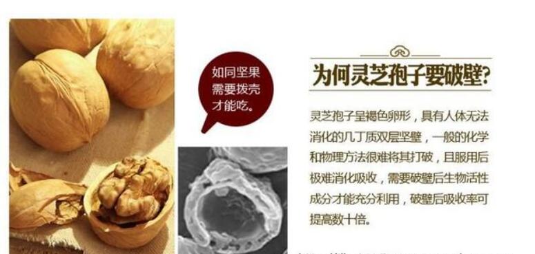 破壁灵芝孢子粉价格 为什么差距这么大？灵芝孢子粉价格是多少？-第3张图片-灵芝大师