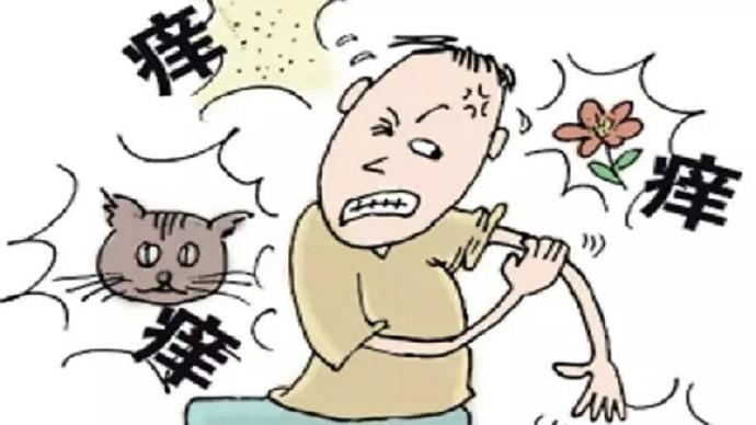 过敏体质吃 灵芝孢子粉过敏症状 会缓解吗?-第2张图片-灵芝大师 过敏体质吃 灵芝孢子粉过敏症状 会缓解吗?-第2张图片-灵芝大师