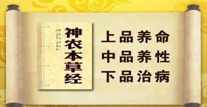 长期吃 灵芝孢子粉有副作用吗？-第2张图片-灵芝大师