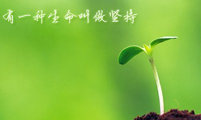 灵芝孢子粉吃多久最好?灵芝孢子粉吃多久有效果出来?-第2张图片-灵芝大师 灵芝孢子粉吃多久最好?灵芝孢子粉吃多久有效果出来?-第2张图片-灵芝大师