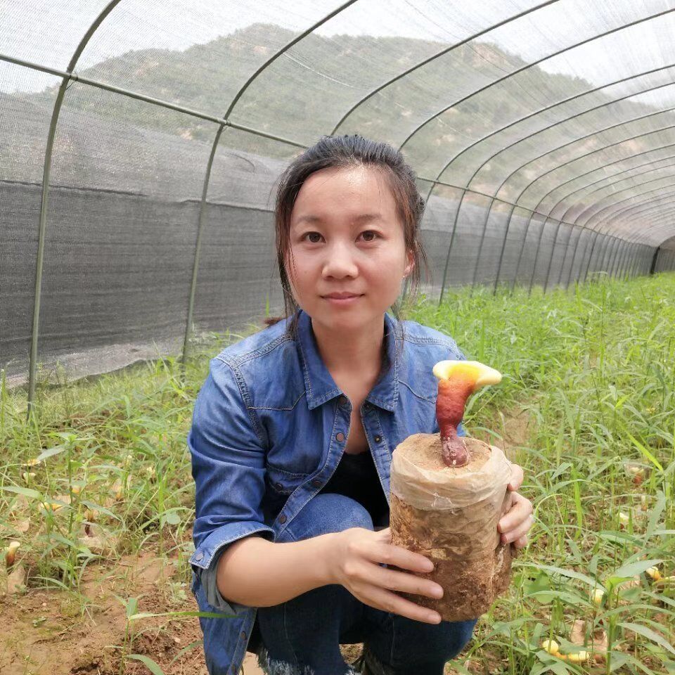 灵芝孢子粉质量好不好如何判断?怎么判断灵芝孢子粉质量?-第3张图片-灵芝大师 灵芝孢子粉质量好不好如何判断?怎么判断灵芝孢子粉质量?-第3张图片-灵芝大师