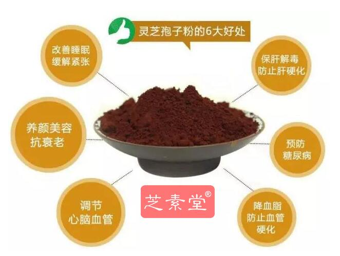 灵芝孢子粉功效都有哪几种？适合什么人群？-第1张图片-灵芝大师