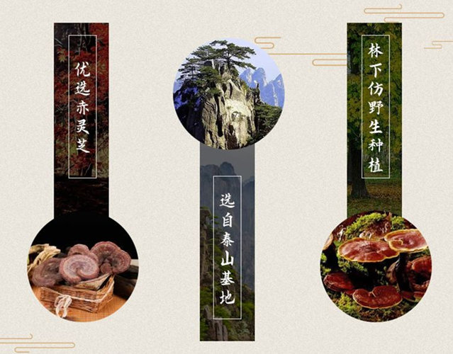 泰山灵芝孢子粉怎样？有没有吃过的，哪家正宗？