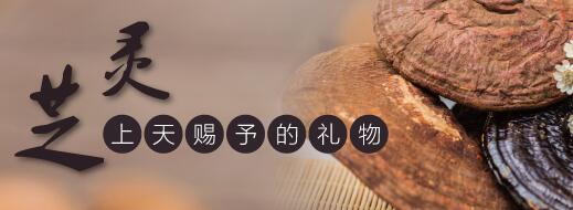 什么样的人不适合吃灵芝孢子粉