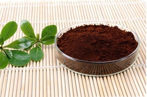 灵芝孢子粉保质期是多久？要怎么保存？