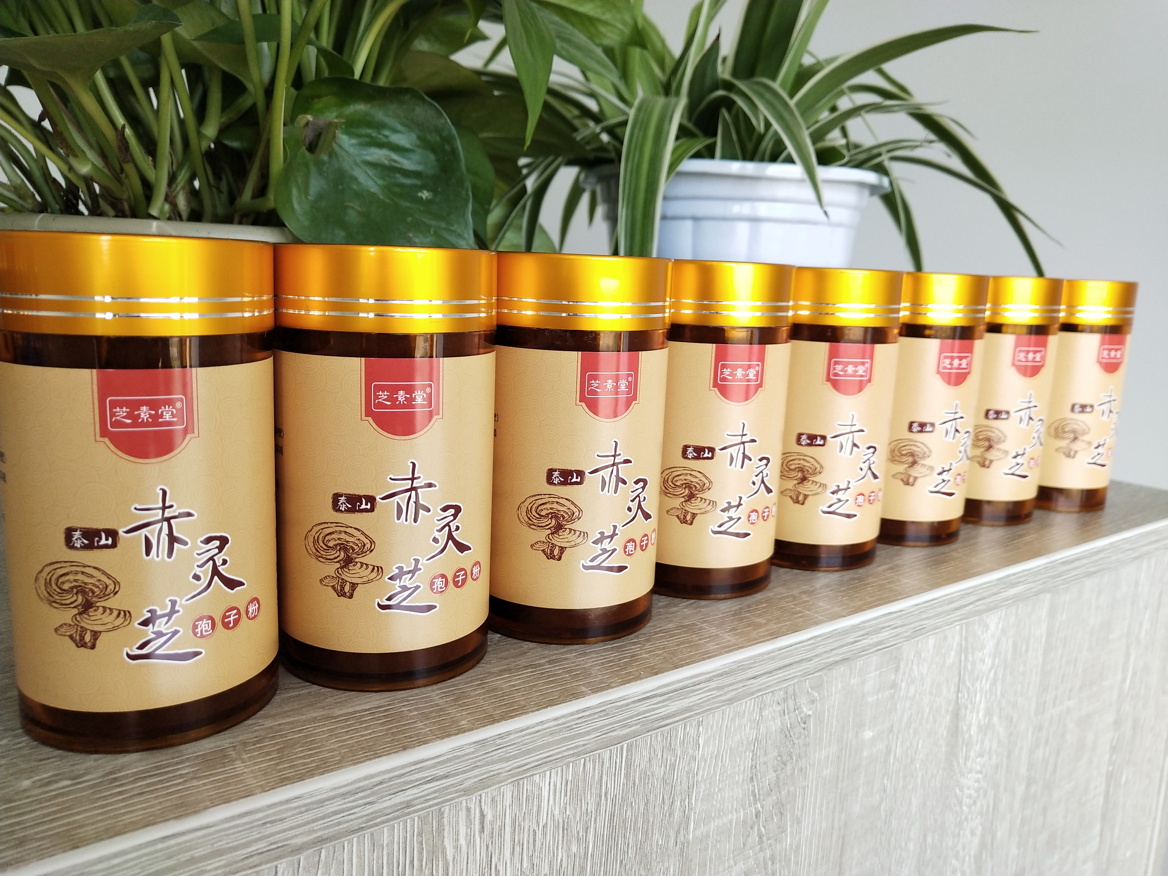 吃灵芝孢子粉时的注意事项都有哪些？