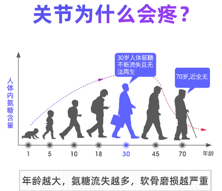 氨糖软骨素哪个国家的最好？什么牌子的最好？-第1张图片-灵芝大师