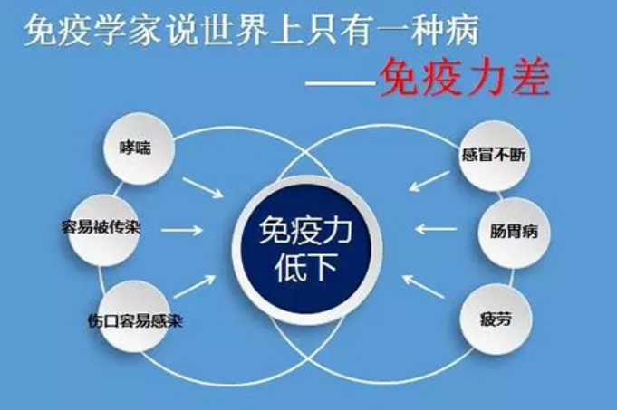 灵芝孢子粉多少钱一斤市场价?不看就容易买贵!-第1张图片-灵芝大师 灵芝孢子粉多少钱一斤市场价?不看就容易买贵!-第1张图片-灵芝大师