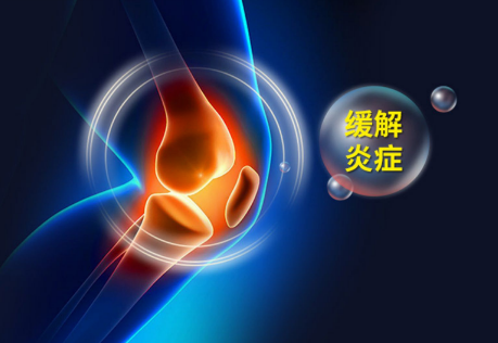 氨糖软骨素主要治什么?原来氨糖软骨素有这么多作用-第3张图片-灵芝大师 氨糖软骨素主要治什么?原来氨糖软骨素有这么多作用-第3张图片-灵芝大师
