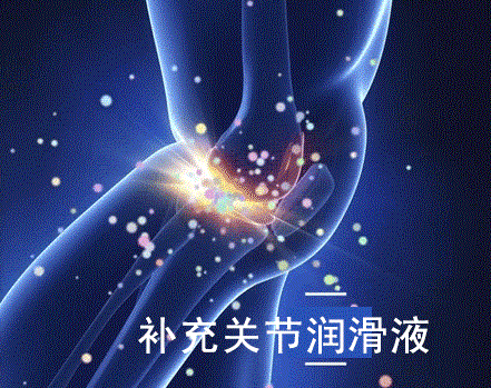 氨糖软骨素主要治什么?原来氨糖软骨素有这么多作用-第4张图片-灵芝大师 氨糖软骨素主要治什么?原来氨糖软骨素有这么多作用-第4张图片-灵芝大师