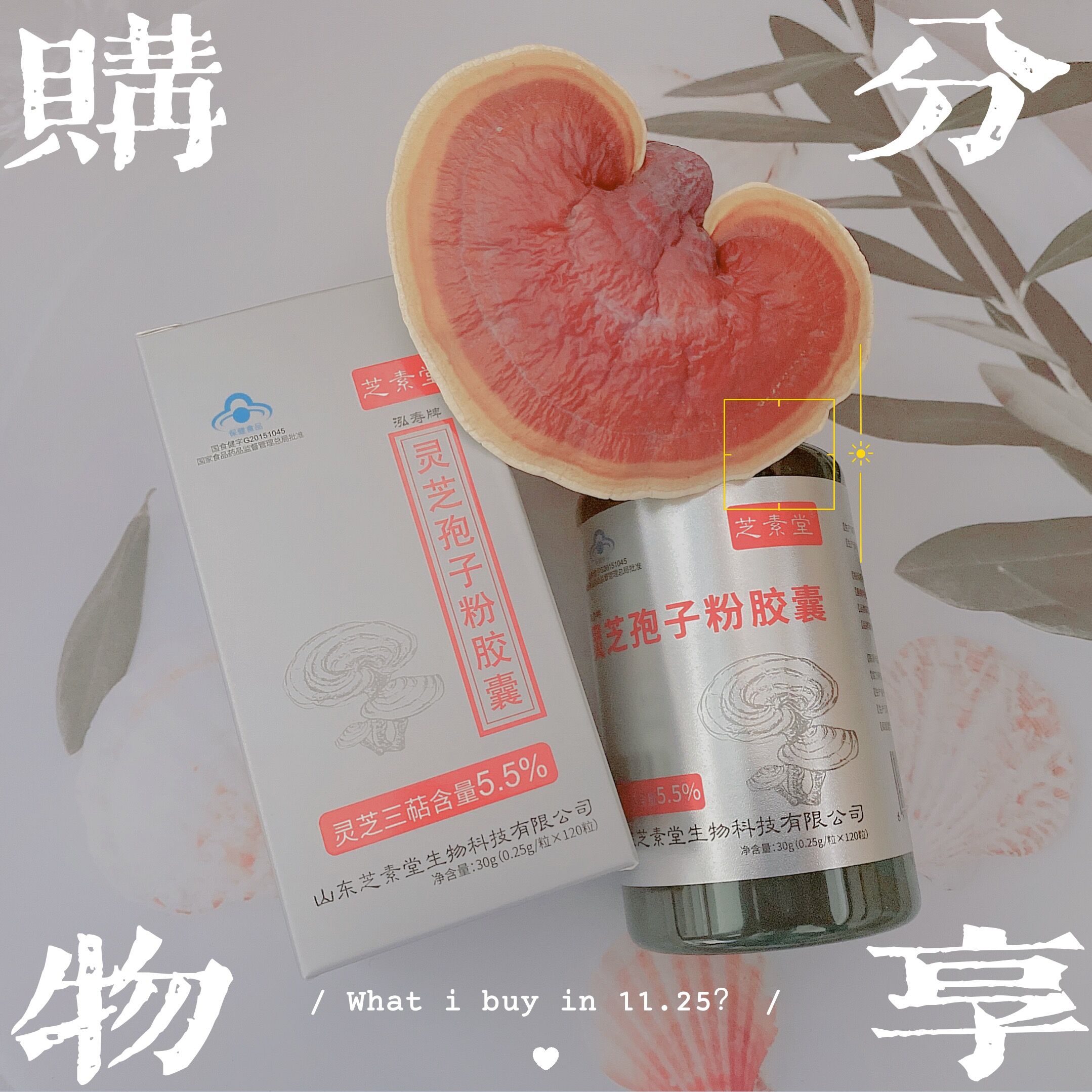 抵抗力很差?喝芝素堂灵芝孢子粉试试-第1张图片-灵芝大师 抵抗力很差?喝芝素堂灵芝孢子粉试试-第1张图片-灵芝大师