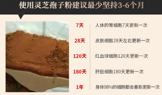 灵芝孢子粉什么时候吃好？空腹吃还是饭后吃？