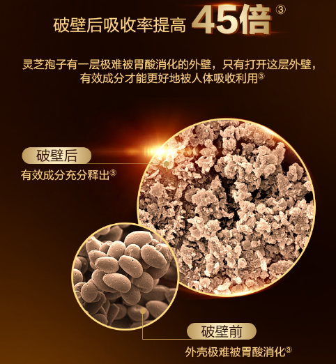 破壁灵芝孢子粉怎么样?破壁灵芝孢子粉好在哪里?-第1张图片-灵芝大师 破壁灵芝孢子粉怎么样?破壁灵芝孢子粉好在哪里?-第1张图片-灵芝大师