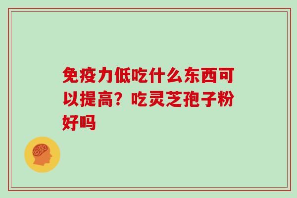 免疫力低吃什么东西可以提高?吃灵芝孢子粉好吗-第1张图片-灵芝大师 免疫力低吃什么东西可以提高?吃灵芝孢子粉好吗-第1张图片-灵芝大师