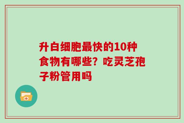 升白细胞最快的10种食物有哪些?吃灵芝孢子粉管用吗-第1张图片-灵芝大师 升白细胞最快的10种食物有哪些?吃灵芝孢子粉管用吗-第1张图片-灵芝大师