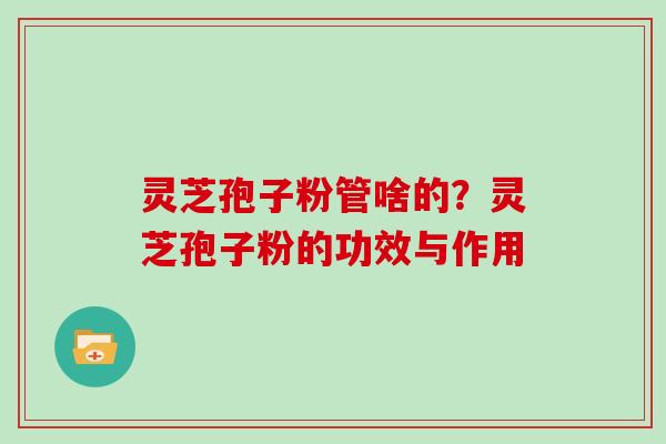灵芝孢子粉管啥的？灵芝孢子粉的功效与作用