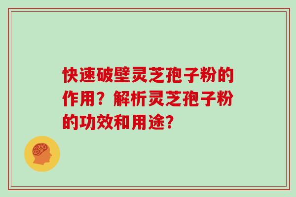 快速破壁灵芝孢子粉的作用？解析灵芝孢子粉的功效和用途？