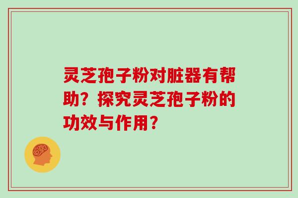 灵芝孢子粉对脏器有帮助？探究灵芝孢子粉的功效与作用？
