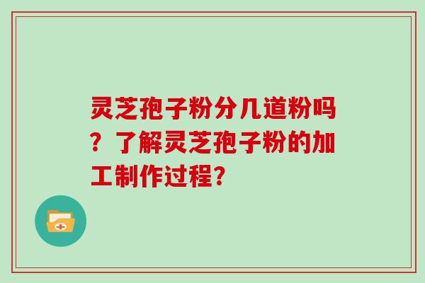 灵芝孢子粉分几道粉吗？了解灵芝孢子粉的加工制作过程？