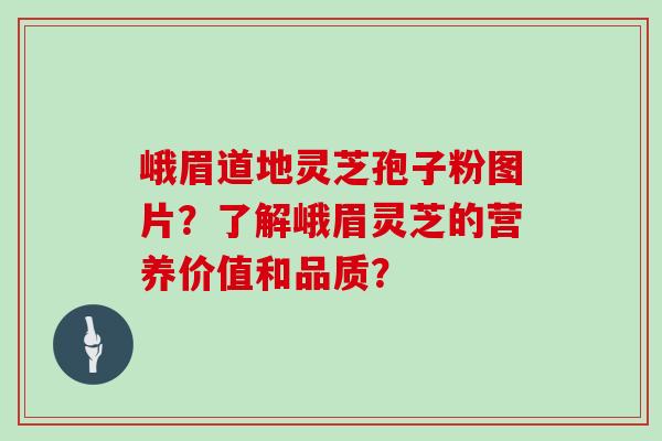 峨眉道地灵芝孢子粉图片？了解峨眉灵芝的营养价值和品质？
