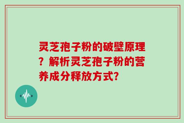 灵芝孢子粉的破壁原理？解析灵芝孢子粉的营养成分释放方式？