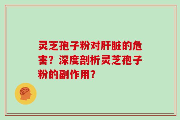 灵芝孢子粉对肝脏的危害？深度剖析灵芝孢子粉的副作用？