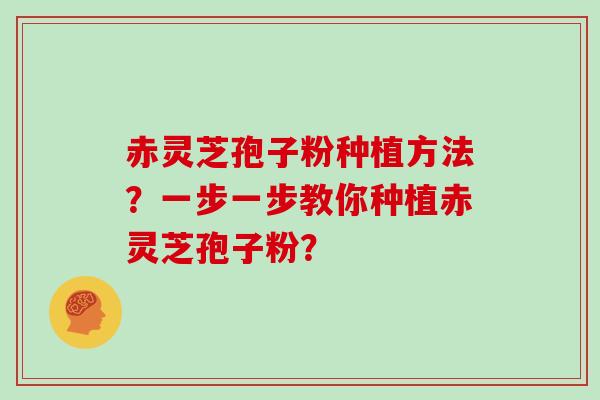 赤灵芝孢子粉种植方法？一步一步教你种植赤灵芝孢子粉？