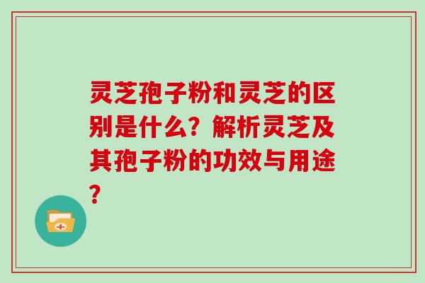 灵芝孢子粉和灵芝的区别是什么？解析灵芝及其孢子粉的功效与用途？