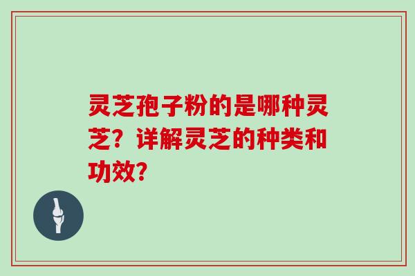 灵芝孢子粉的是哪种灵芝？详解灵芝的种类和功效？